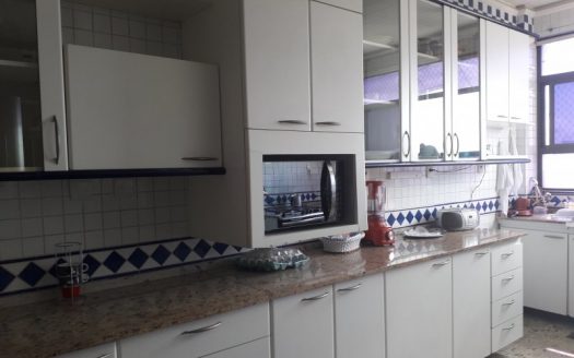 Luxurious triplex penthouse furnished in prime area