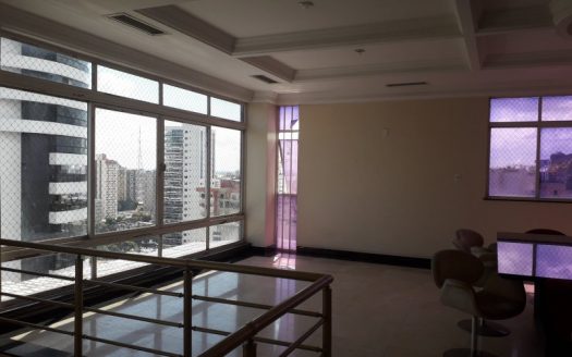 Luxurious triplex penthouse furnished in prime area