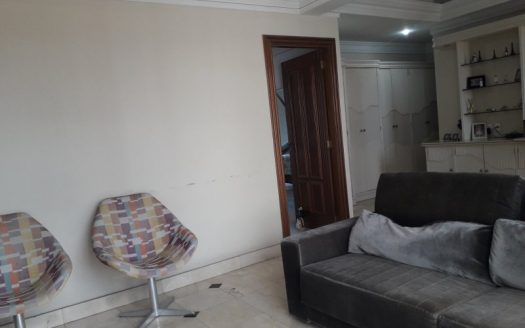 Luxurious triplex penthouse furnished in prime area