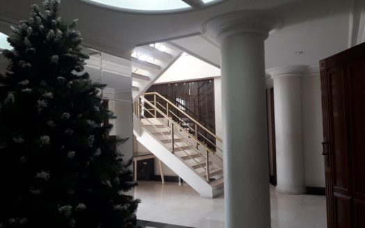 Luxurious triplex penthouse furnished in prime area