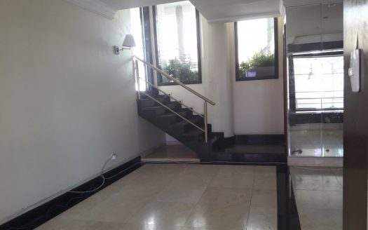 Luxurious triplex penthouse furnished in prime area