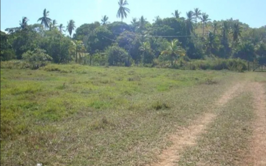 Excellent land in Vera Cruz on the island of itaparica
