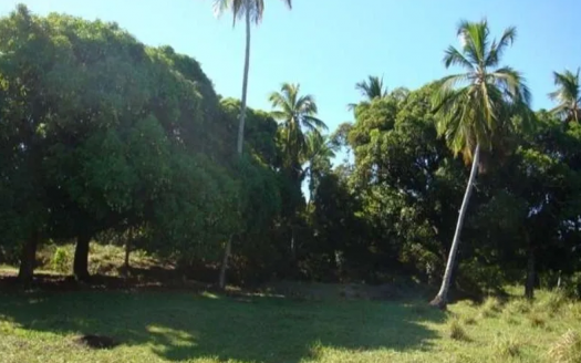 Excellent land in Vera Cruz on the island of itaparica