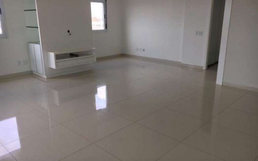 Nice apartment close to Tubal Vilela square