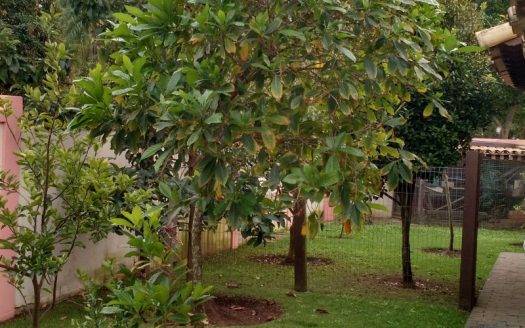 Beach house with country house style