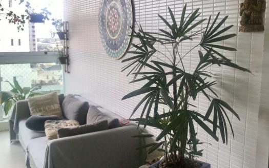 High standard apartment in Ponta da Praia
