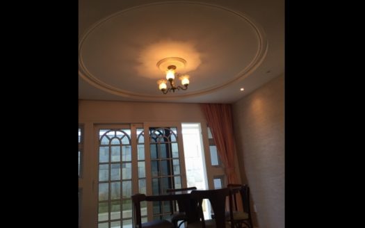 European style mansion for investors