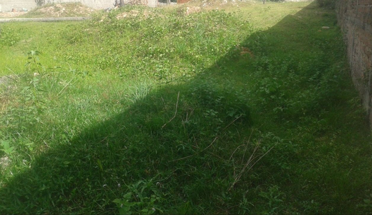 Beautiful land for large investment
