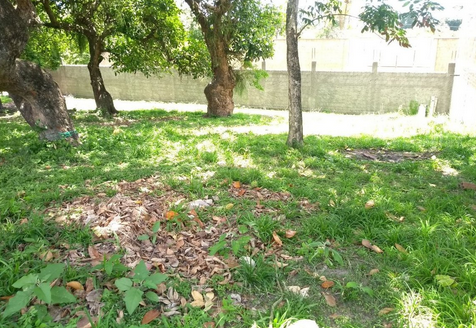 Beautiful land for large investment