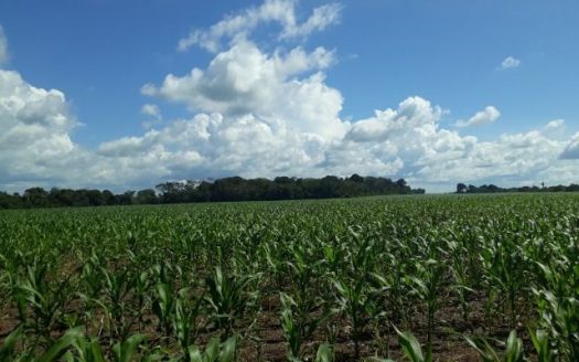 Large plot in the Esperanca neighborhood