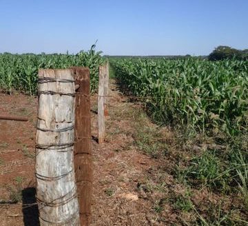 Excellent flat land in Vila Vargas