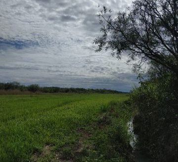 Excellent flat land in Vila Vargas