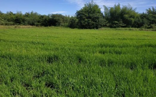 Excellent flat land in Vila Vargas