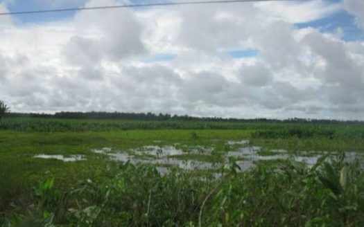 Great land for investors in São Luiz