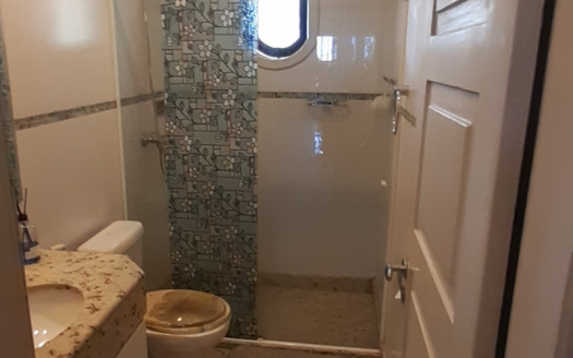 Modern house on Ilha do Boi