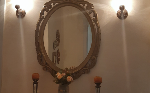 Modern house on Ilha do Boi