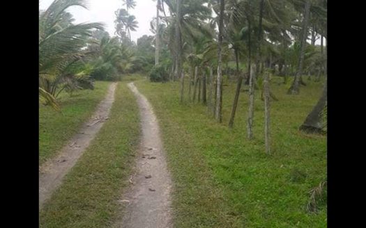 Excellent land on the beach of Ilhéus