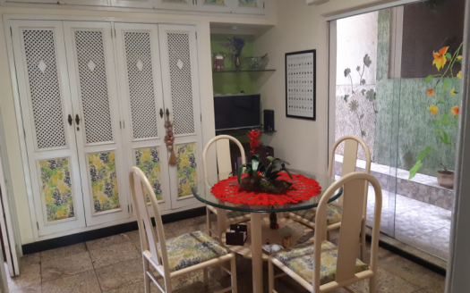 Modern house on Ilha do Boi