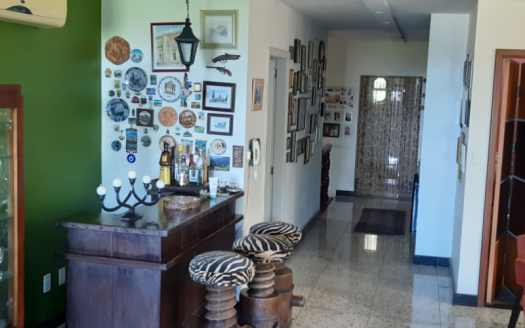 Modern house on Ilha do Boi