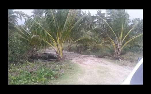 Excellent land on the beach of Ilhéus