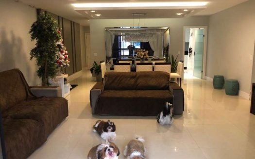 Excellent apartment in Agrioes Teresopolis