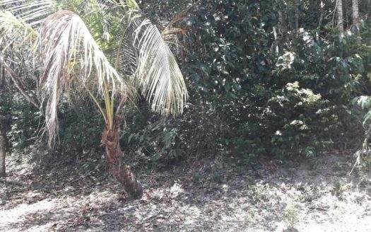 Great plot at Marina Burahem