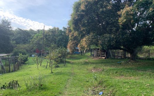 Large plot with house on the Mar do Norte