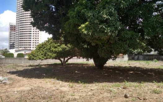 Excellent land in Capim Macio