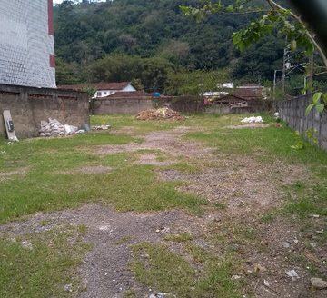 Great plot in Chico de Paula
