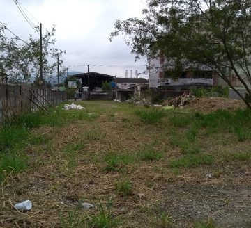 Great plot in Chico de Paula