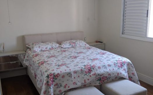 Wonderful penthouse in Vila Brandina