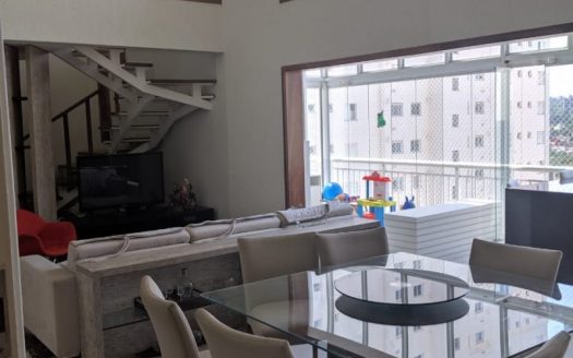 Wonderful penthouse in Vila Brandina