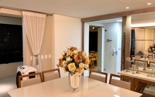 Great furnished apartment in Setor Oeste