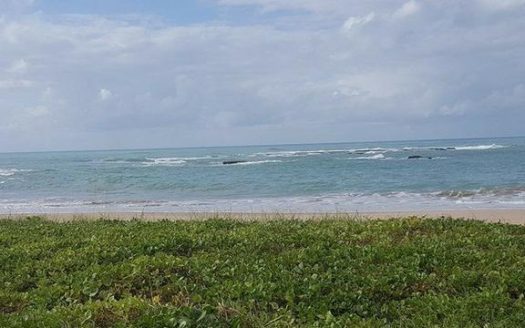 Beautiful plot on Guaxuma beach