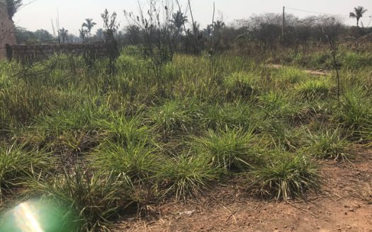 Excellent land in Cidade do Lobo