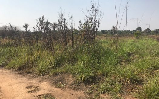 Excellent land in Cidade do Lobo