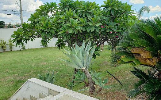 Beautiful high standard house in Vila Rezende