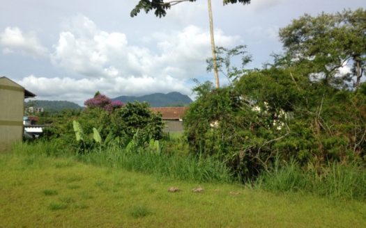 Top plot in Itoupava Central